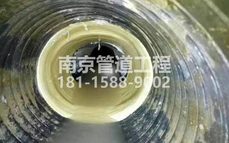 226广州路树脂修复